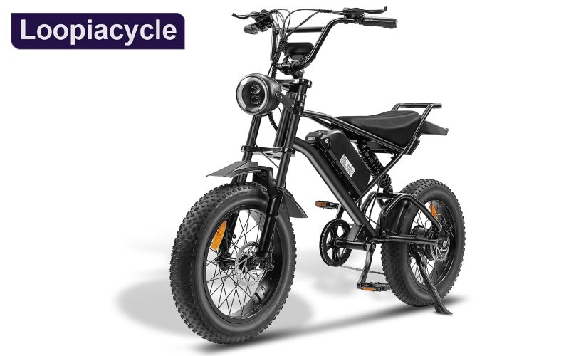Ebike,1000W Motor,48V15Ah Battery,20 Inches,Maximum Speed 45-50KM Ebike,1000W Motor,48V15Ah Battery,20 Inches,Maximum Speed 45-50KM